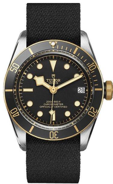 Tudor M79733N-0001-FB01 Heritage Black Bay Replica watch